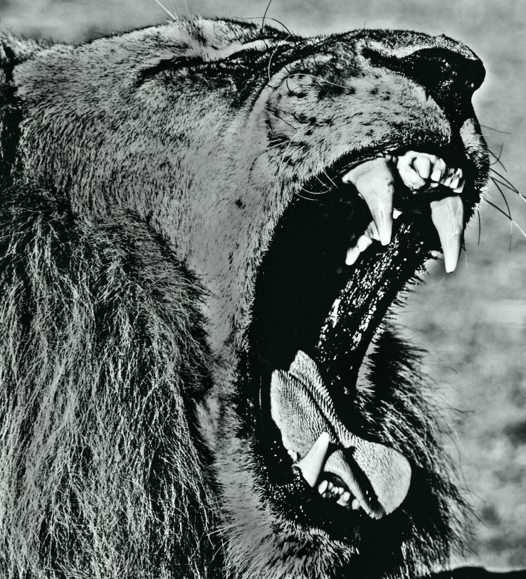 guy-roberts-101158-unsplash-edited